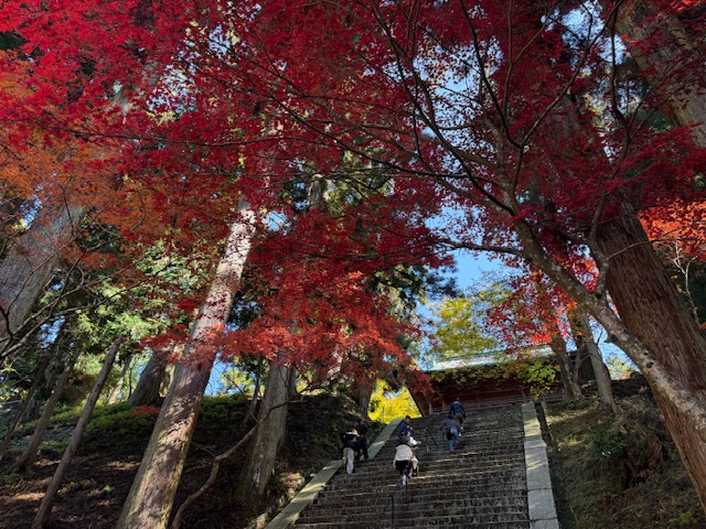 安心と一緒に、一歩前へ。「比叡山バスツアー」